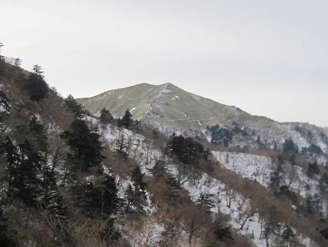 c0219866_1854623.jpg