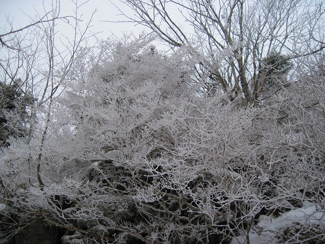 c0219866_18554160.jpg