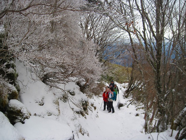 c0219866_1856143.jpg