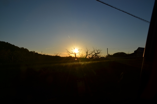 b0218371_1123850.jpg