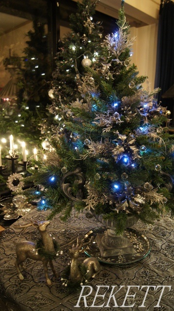 クリスマスだけでなく楽しめるクリスマスツリー_f0029571_2015143.jpg
