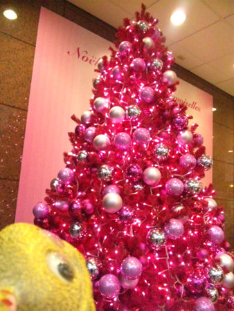 f0000673_17383988.jpg