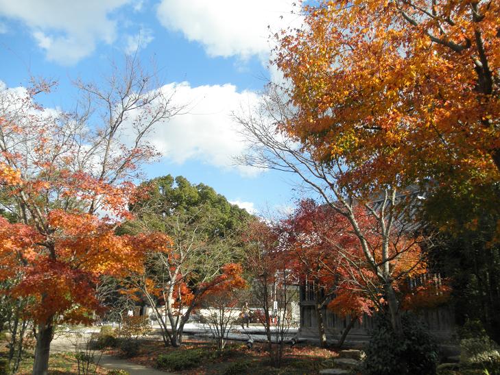 f0101679_3365561.jpg