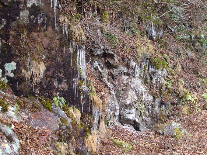 d0168784_17401643.jpg