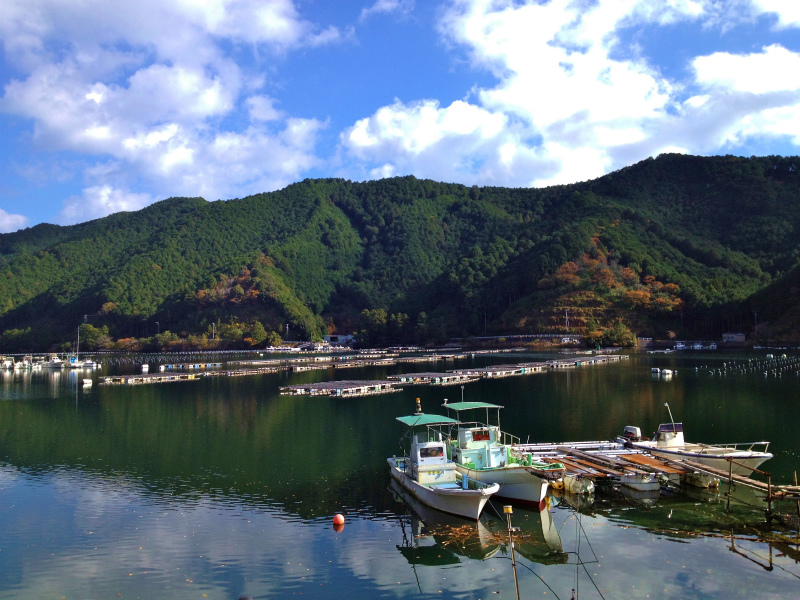 2012/12/03 白石湖ロードランニング&天狗倉山トレイルランニング_b0220886_9555733.jpg