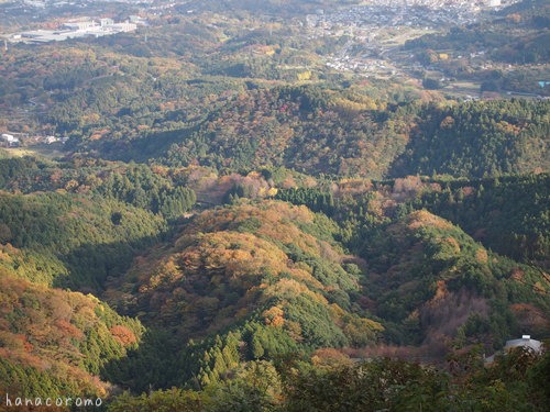 e0211786_16325388.jpg