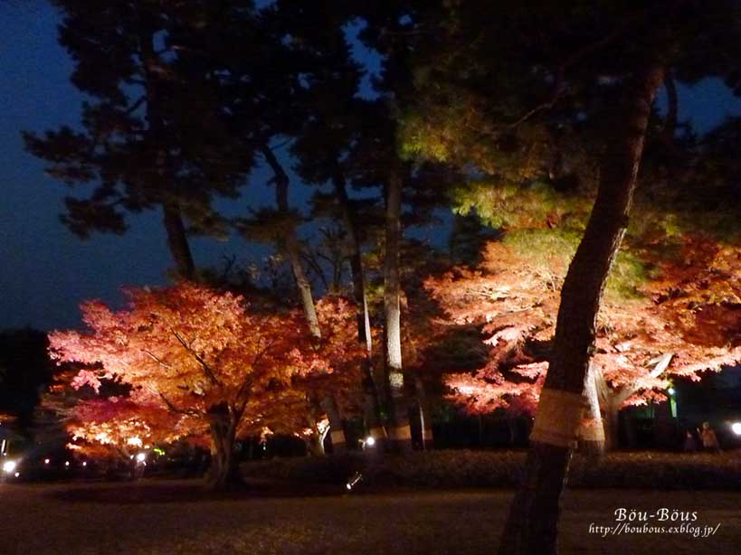 こんなに綺麗なのに…(T-T)大田黒公園_d0128697_22512226.jpg