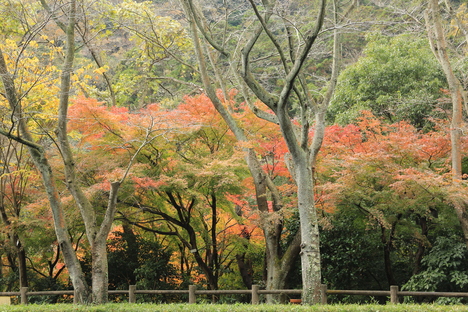 パンを下さい_b0275998_042536.jpg
