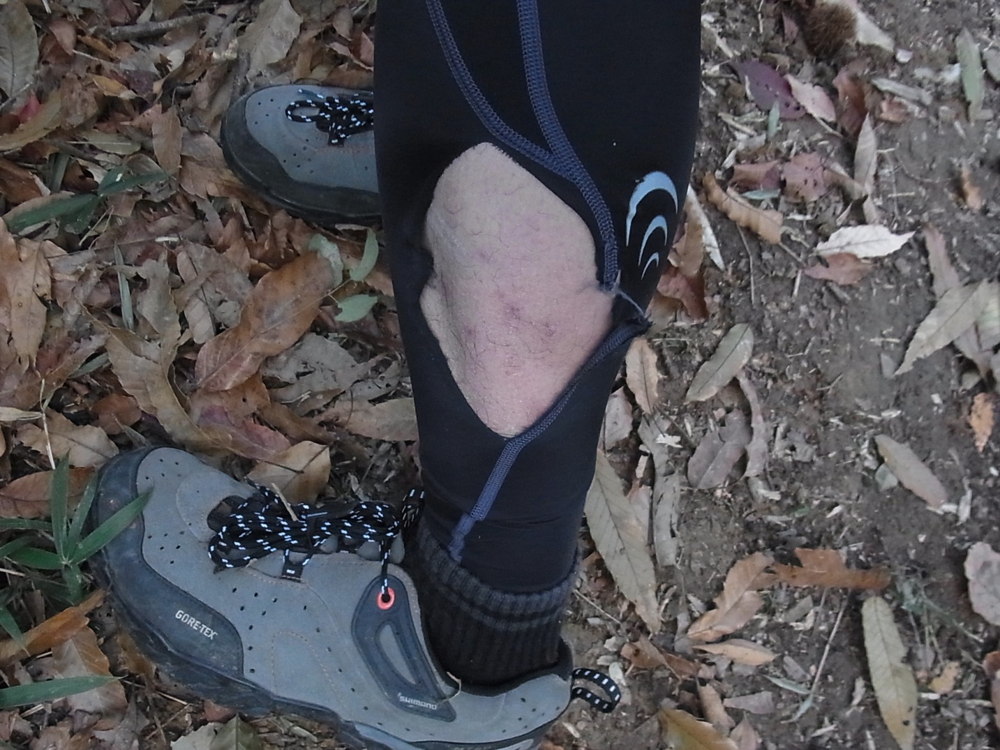 c0095900_16321033.jpg