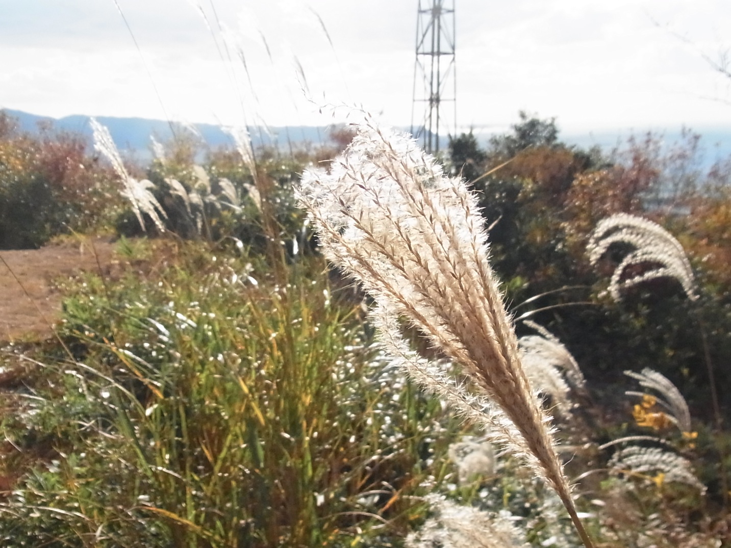 c0095900_1632568.jpg