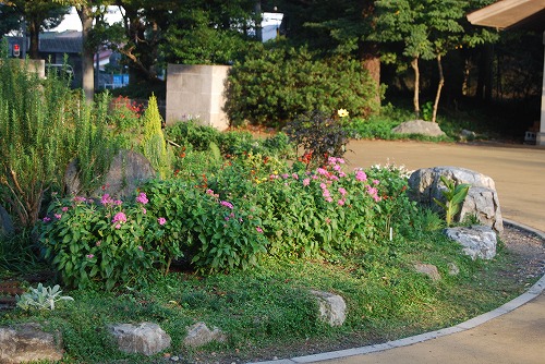 c0124100_0494428.jpg