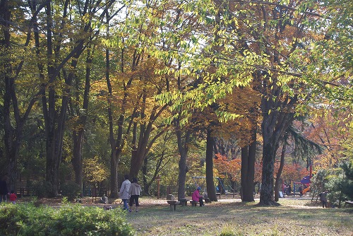 c0124100_050354.jpg
