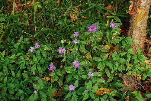 c0124100_050457.jpg