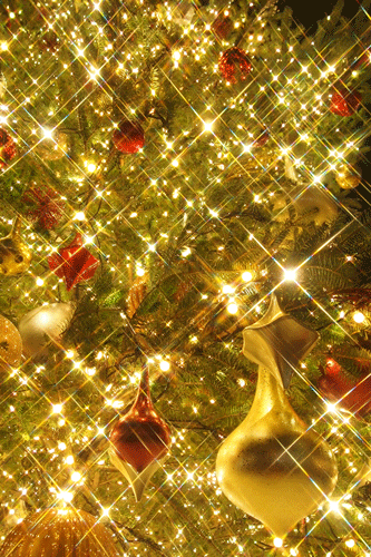 e0153701_23134528.gif