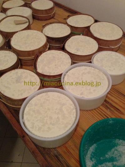カステッルッチョで羊のチーズ作り見学_b0107003_11482569.jpg
