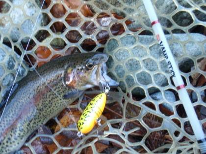 c0023804_10243391.jpg