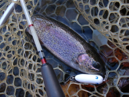 c0023804_10285153.jpg
