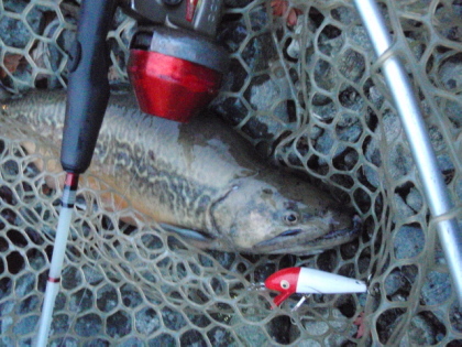 c0023804_10324759.jpg