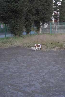 c0132205_17543199.jpg