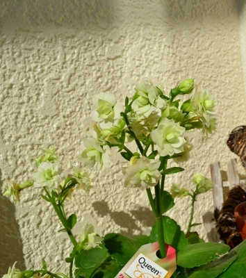 c0132205_18233275.jpg