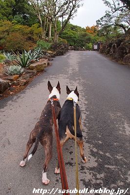 e0145805_21202661.jpg