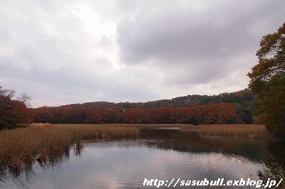 e0145805_21303672.jpg