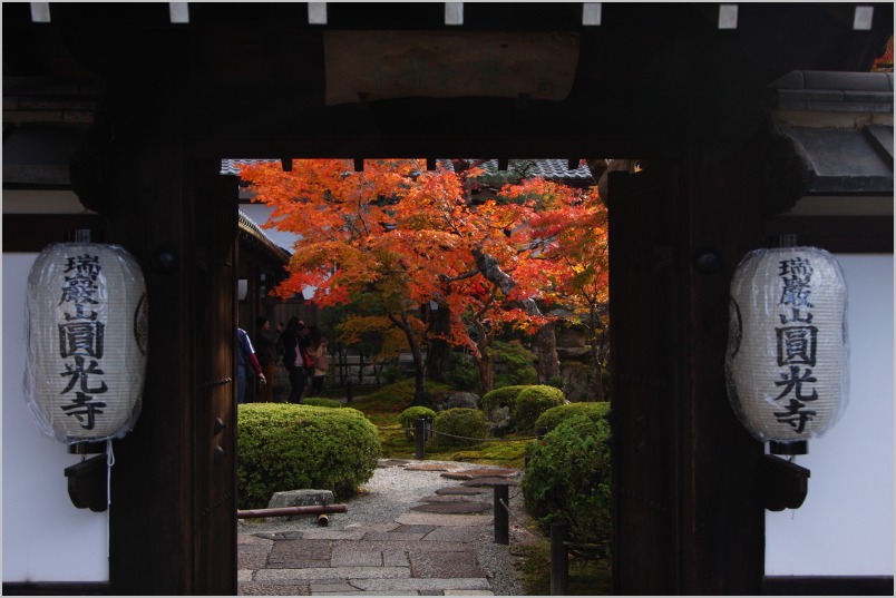 京都紅葉ぶらり旅vol.5　左京区　一乗寺　圓光寺（partⅱ）_b0180907_22511364.jpg