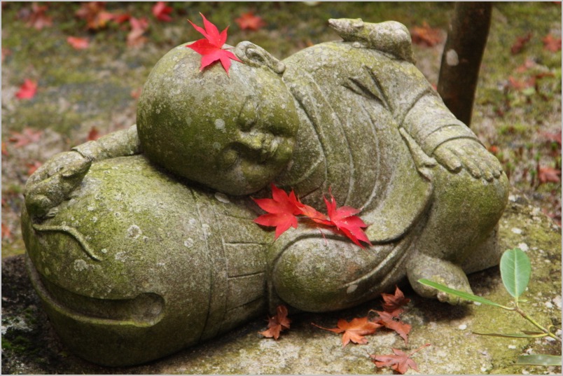 京都紅葉ぶらり旅vol.5　左京区　一乗寺　圓光寺（partⅱ）_b0180907_238452.jpg