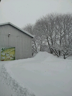 a0164408_1595597.jpg