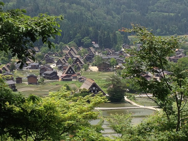 d0153509_8481953.jpg