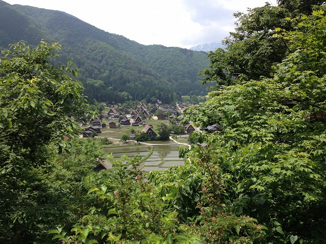 d0153509_8491580.jpg