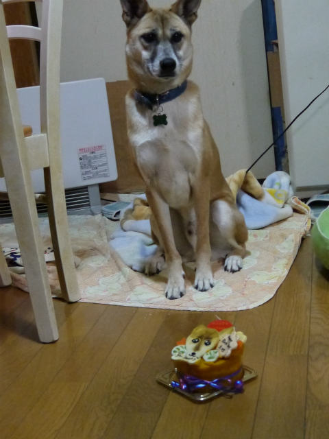 f0218911_17301651.jpg