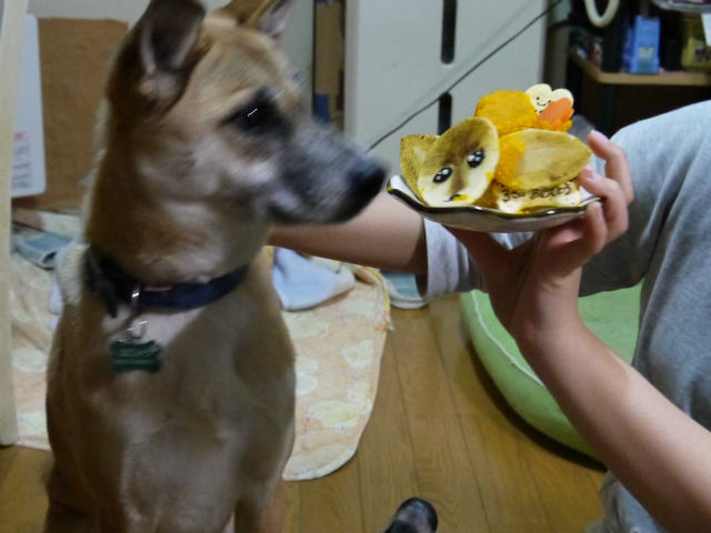 f0218911_17305747.jpg
