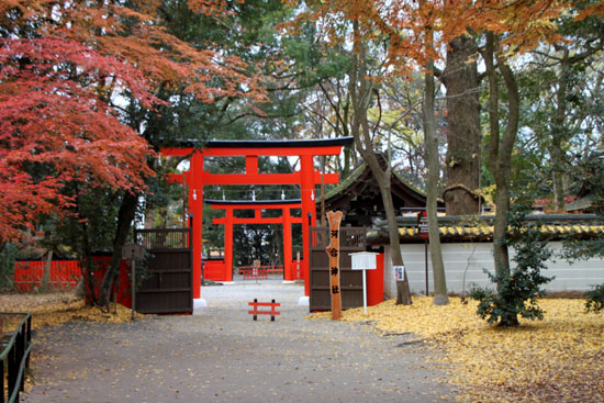 河合神社と糺の森_e0048413_1971878.jpg