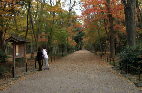 河合神社と糺の森_e0048413_1974243.jpg
