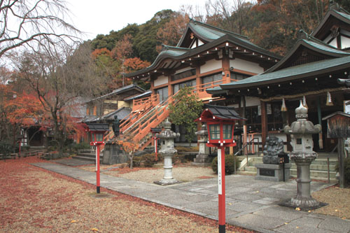 紅葉だより64 松ヶ崎大黒天 散りモミジ_e0048413_2012167.jpg
