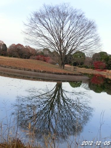 c0200916_22292863.jpg