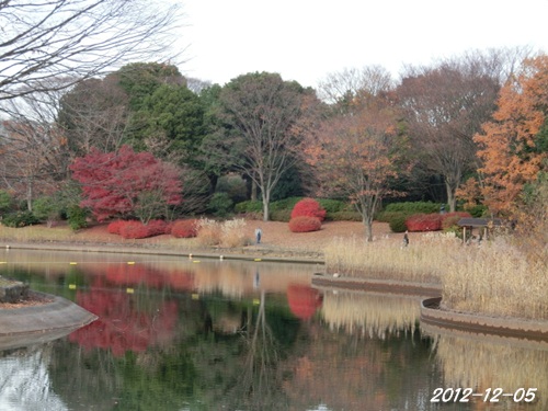 c0200916_2229491.jpg