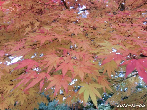c0200916_22301971.jpg