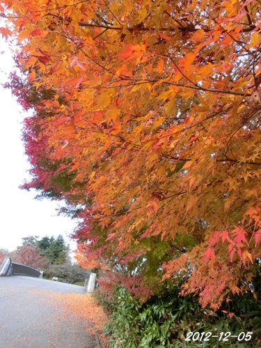 c0200916_22375775.jpg