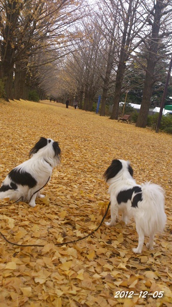 c0200916_23134359.jpg