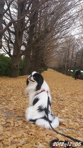 c0200916_23161132.jpg