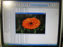 ２０１２１２０５　HDDの悪夢の巻　その３_e0263019_142472.jpg