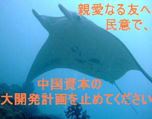 声なき声_a0043520_1213946.jpg