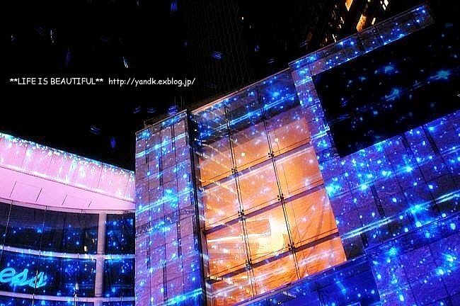 Xmas Illumination 2012 - Carreta Shiodome_d0083623_21492151.jpg