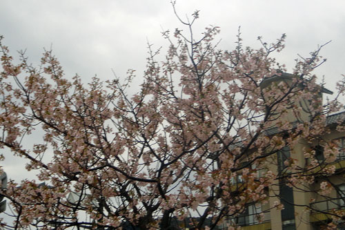 c0028424_19534942.jpg