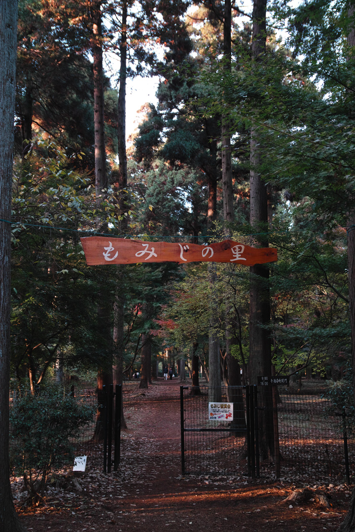 c0223825_7584248.jpg
