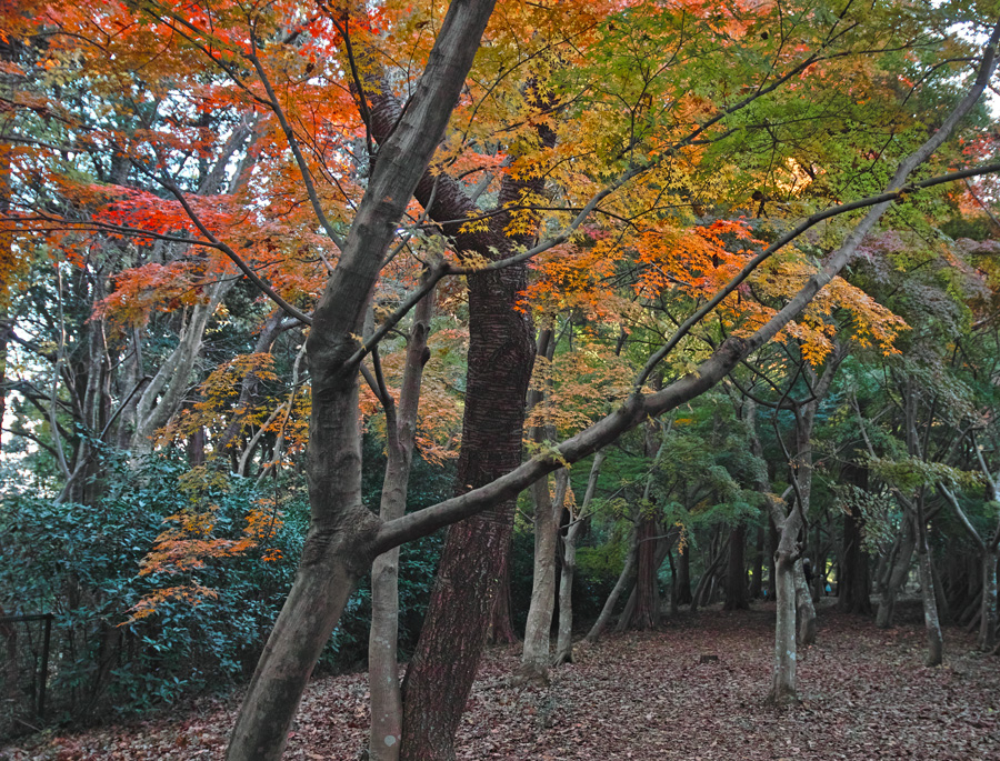 c0223825_87637.jpg