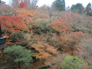 e0255026_17293254.gif