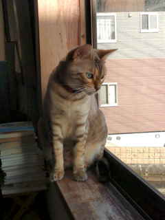 f0009028_10295067.jpg